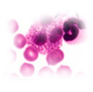 immunologiche