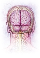 neurologiche