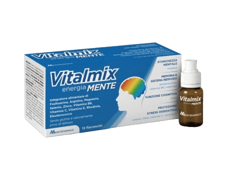 vitalmix-mente