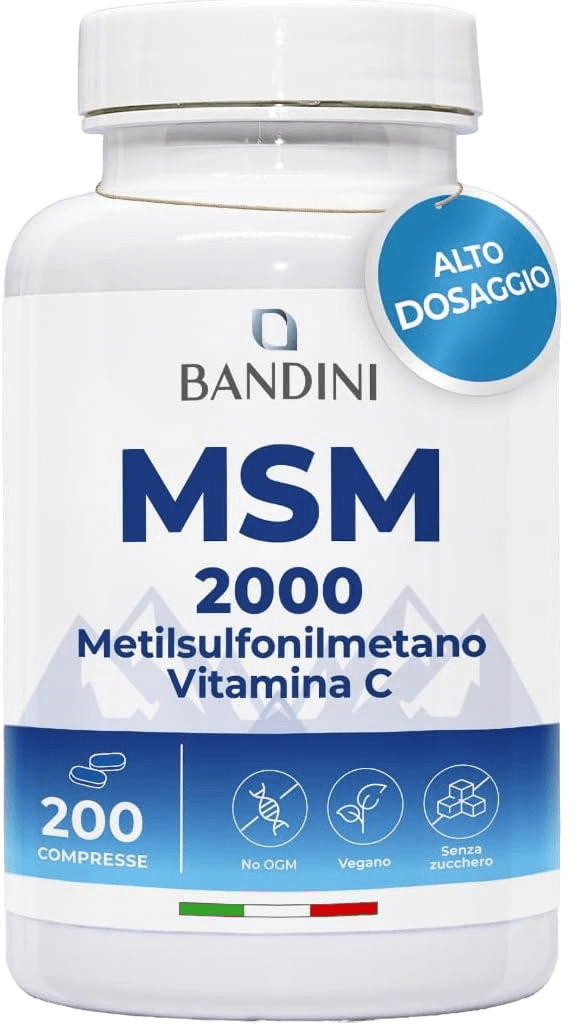 msm-brandini